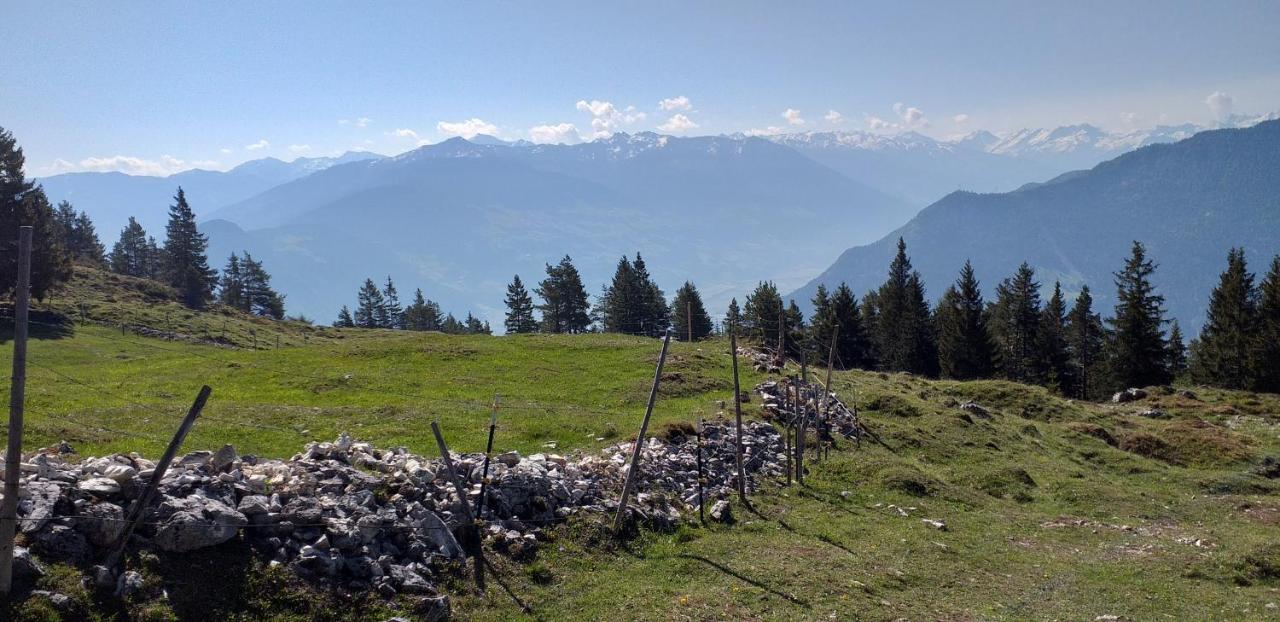 Ferienwohnungen Hochzillertal Kaltenbach Ngoại thất bức ảnh