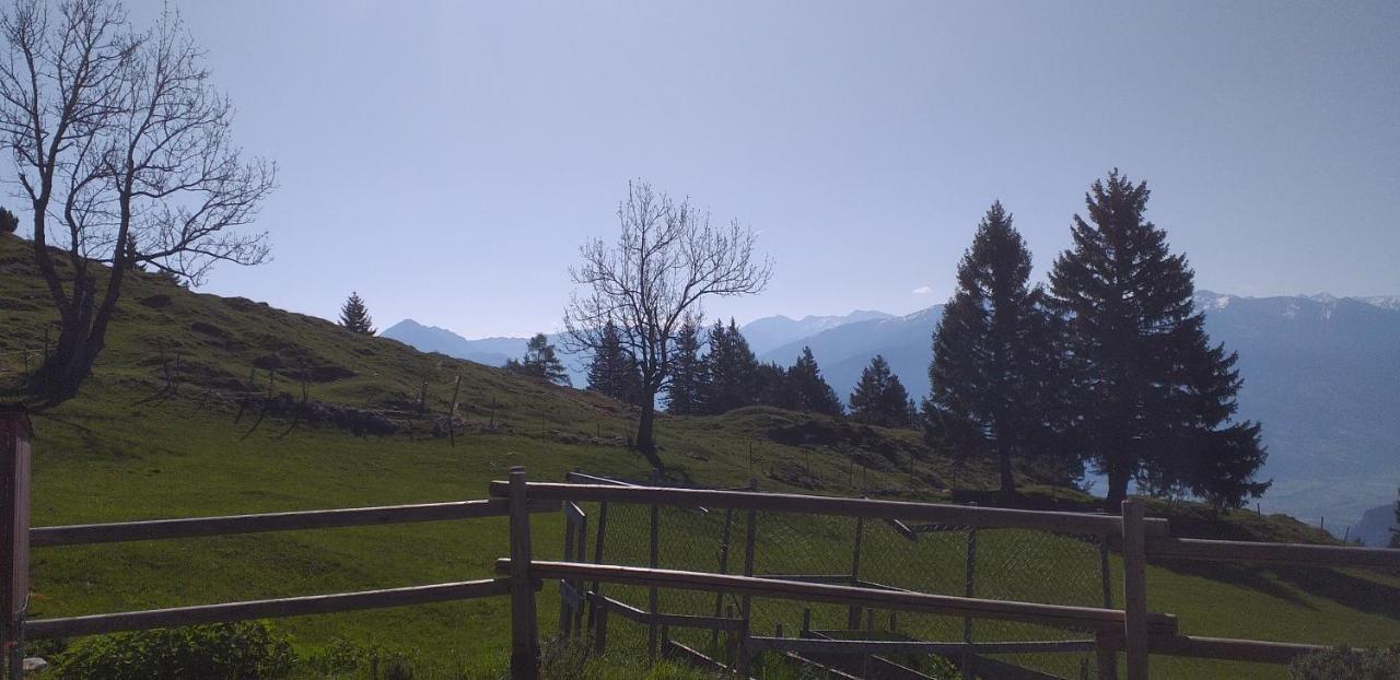 Ferienwohnungen Hochzillertal Kaltenbach Ngoại thất bức ảnh